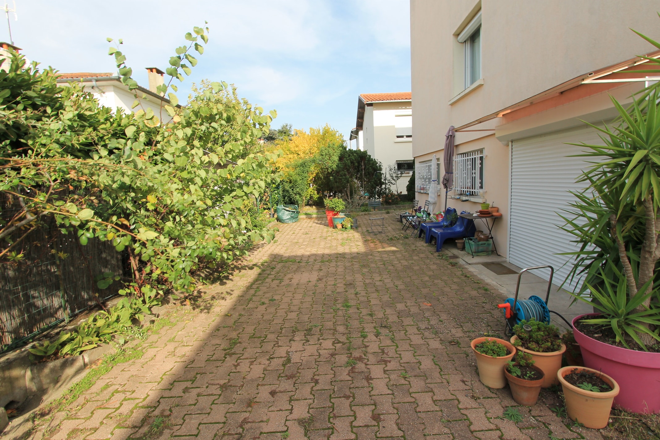 Allée pavée résidentielle bordée d'une haie verte dense et d'une maison beige avec garage. Meubles et pots de fleurs au soleil.
