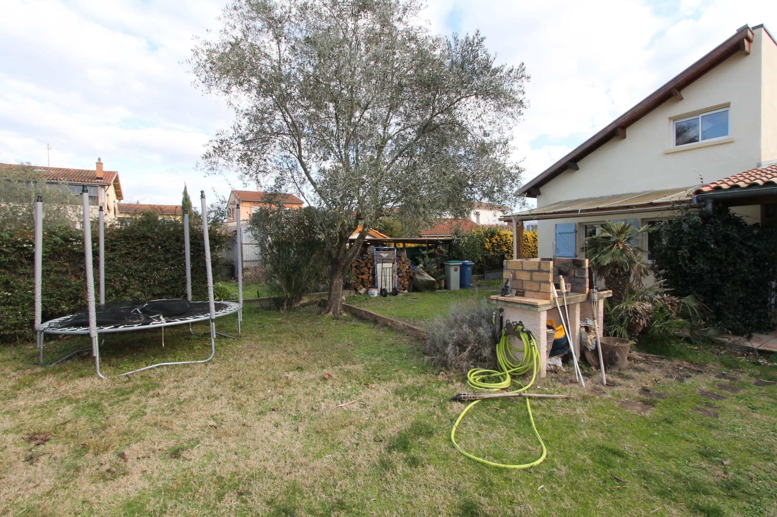 Jardin résidentiel avec un grand olivier central. À droite, un barbecue en briques et une maison. À gauche, un trampoline.