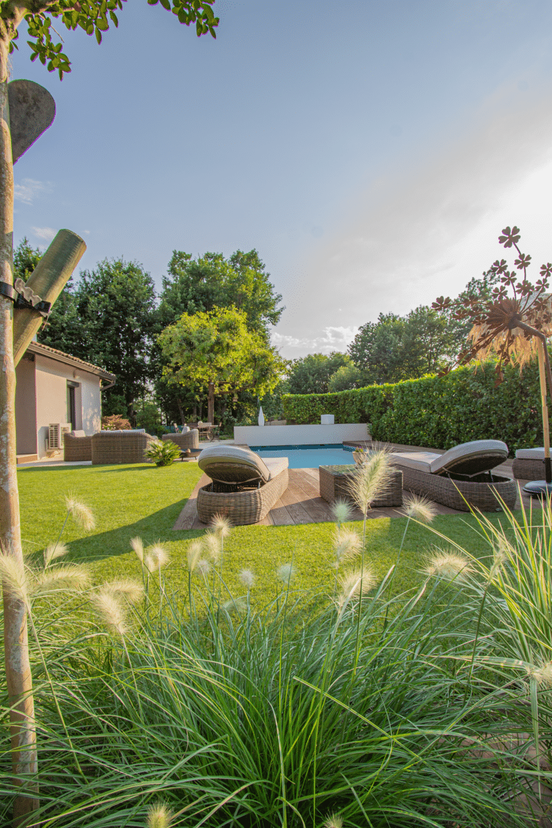 Jardin et piscine luxueux: chaises longues sur deck en bois, pelouse manucurée, hauts massifs d'herbes décoratives ensoleillées.