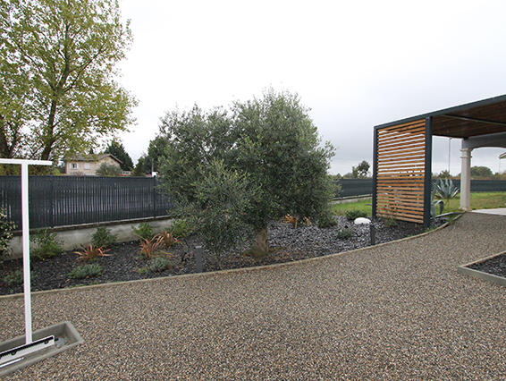 Un olivier centenaire marquant l&rsquo;entrée