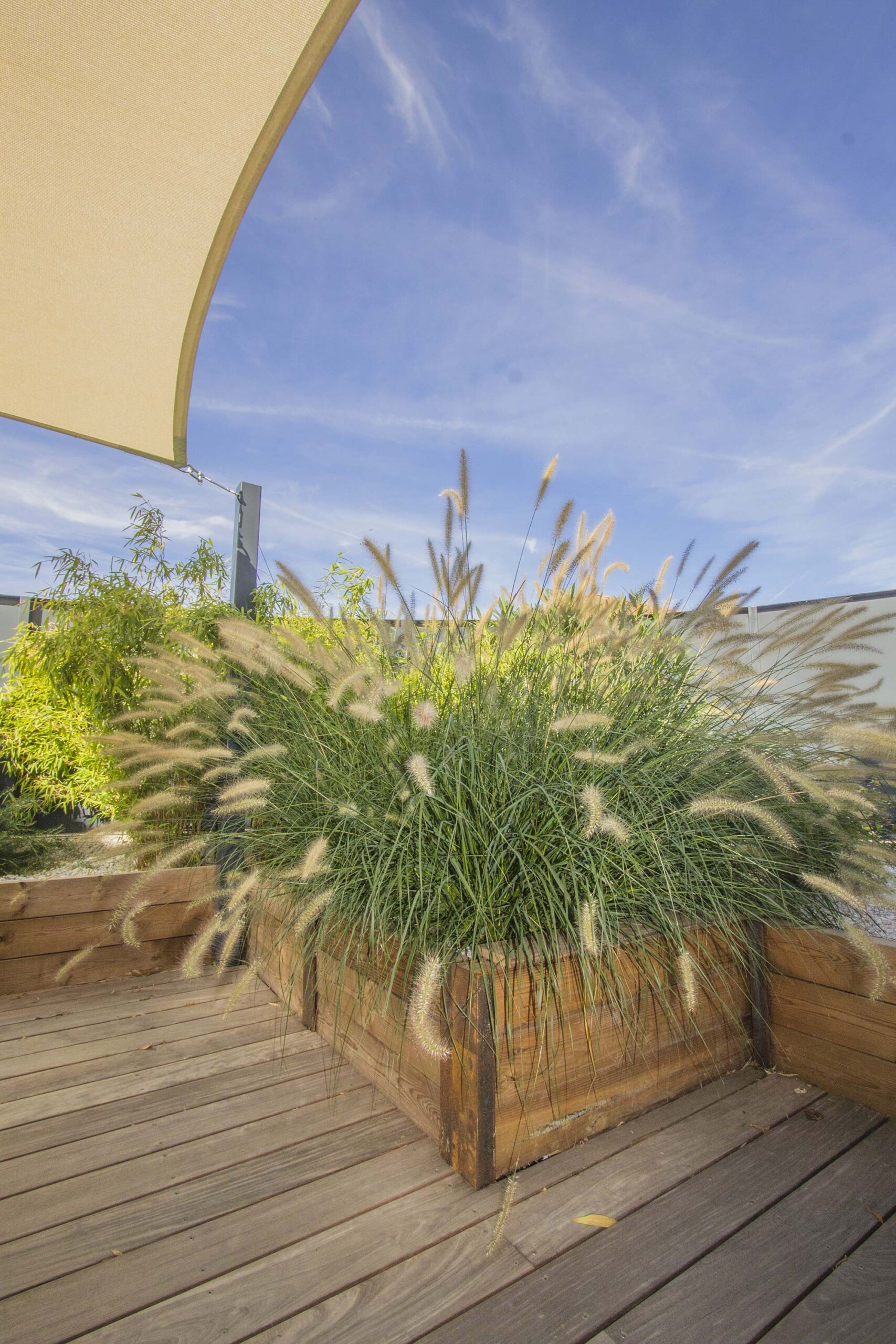 Terrasse repas ombragée sur Toulouse