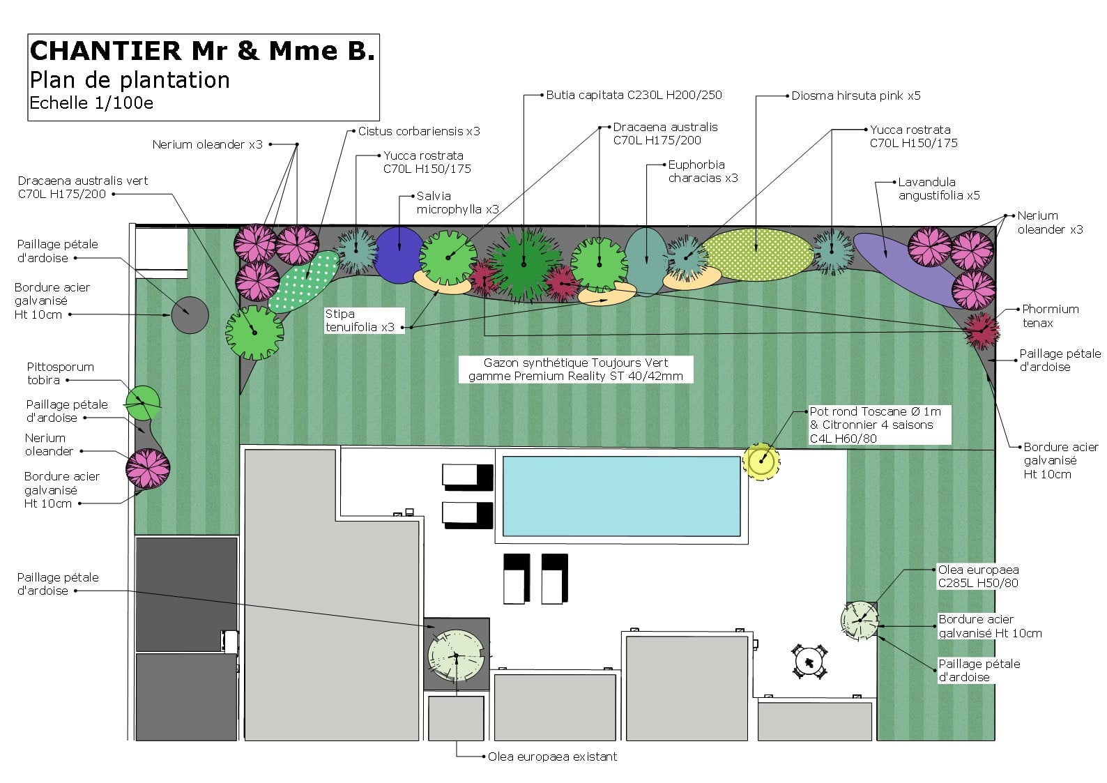 Plan de plantation détaillé pour jardin avec piscine, gazon synthétique et végétation méditerranéenne variée.