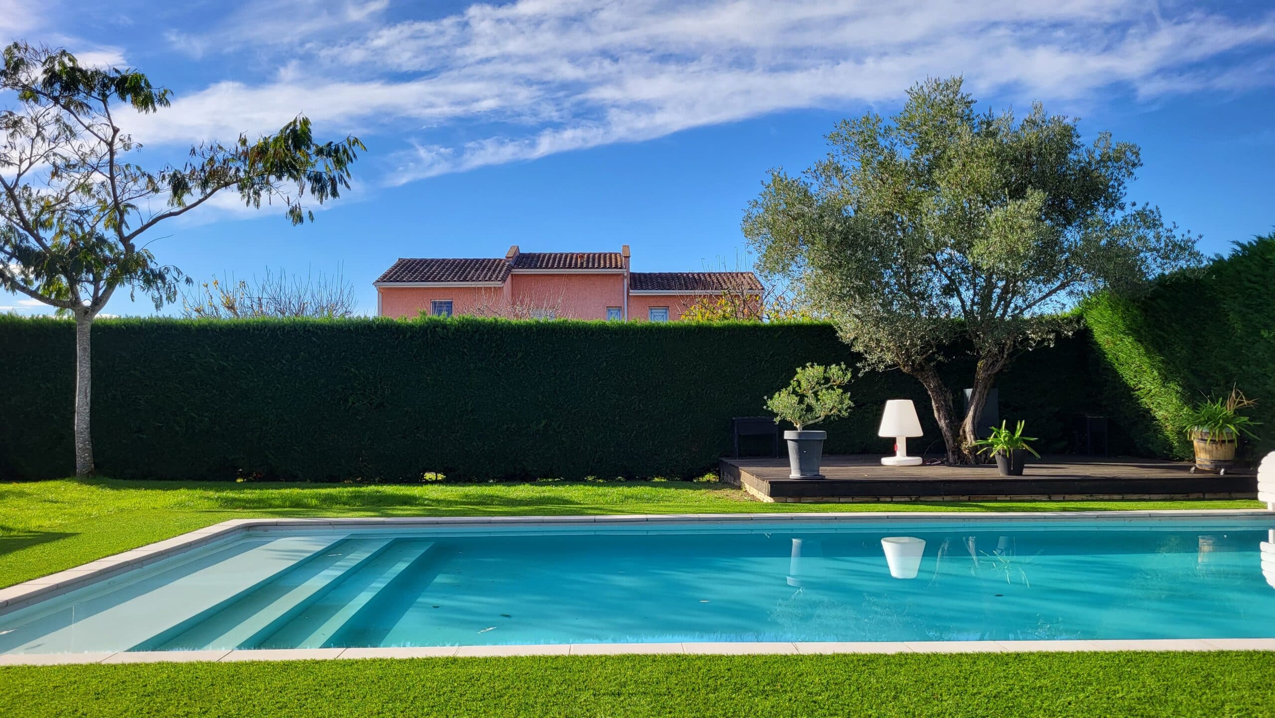 Piscine bleue dans jardin ensoleillé avec pelouse, haie, olivier sur terrasse boisée et maison en arrière-plan.